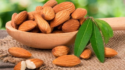 تصویر 1 از خرید و قیمت بادام محب اصفهان + فروش عمده